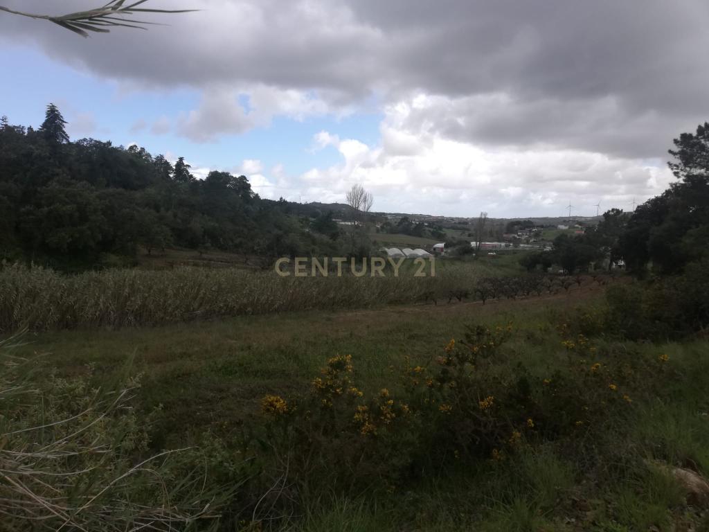  Terreno Agrícola na Zona Oeste - Image 2